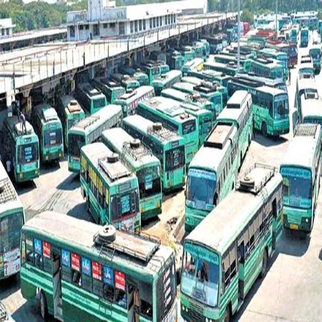 bus