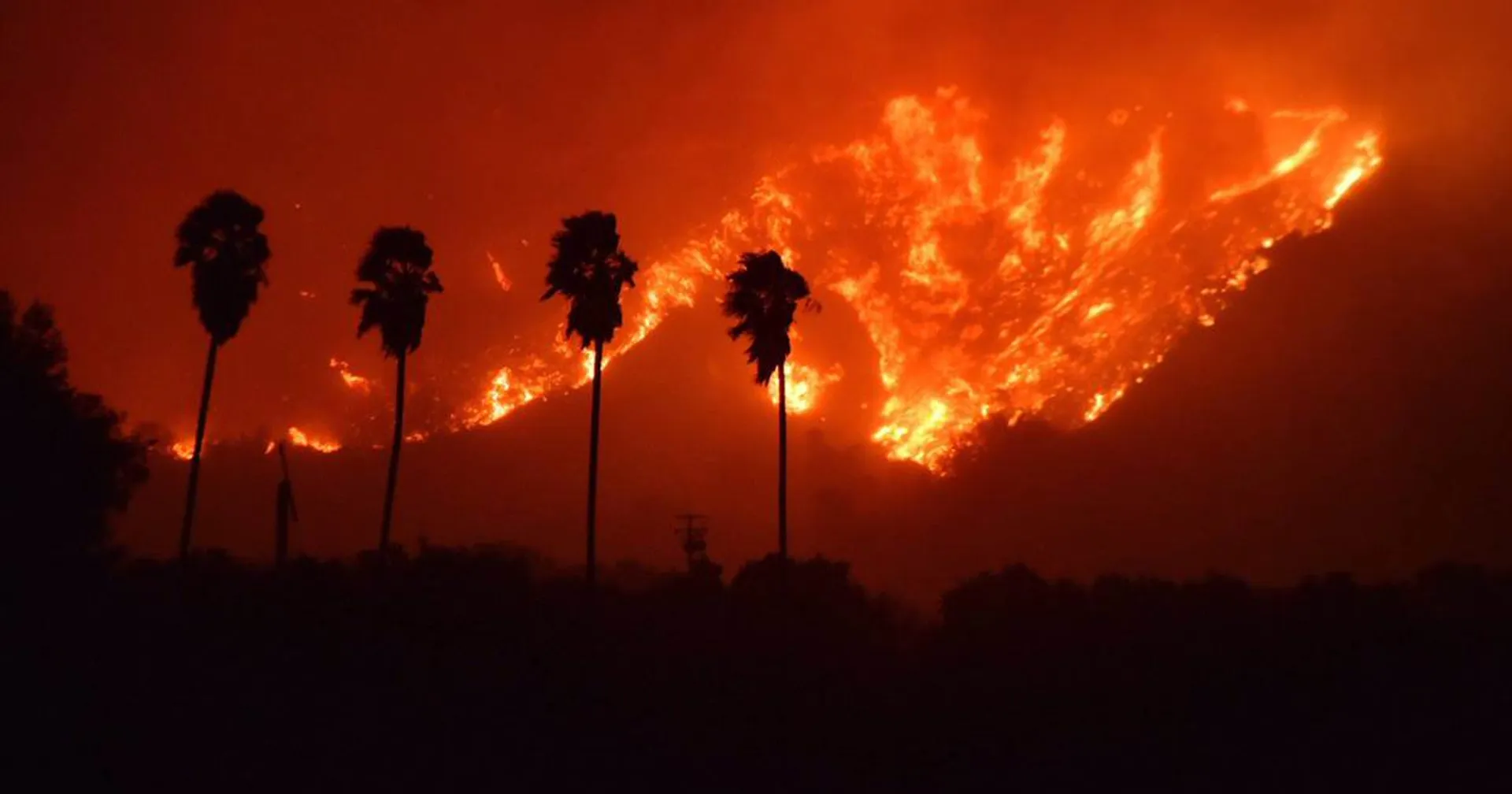 wildfire