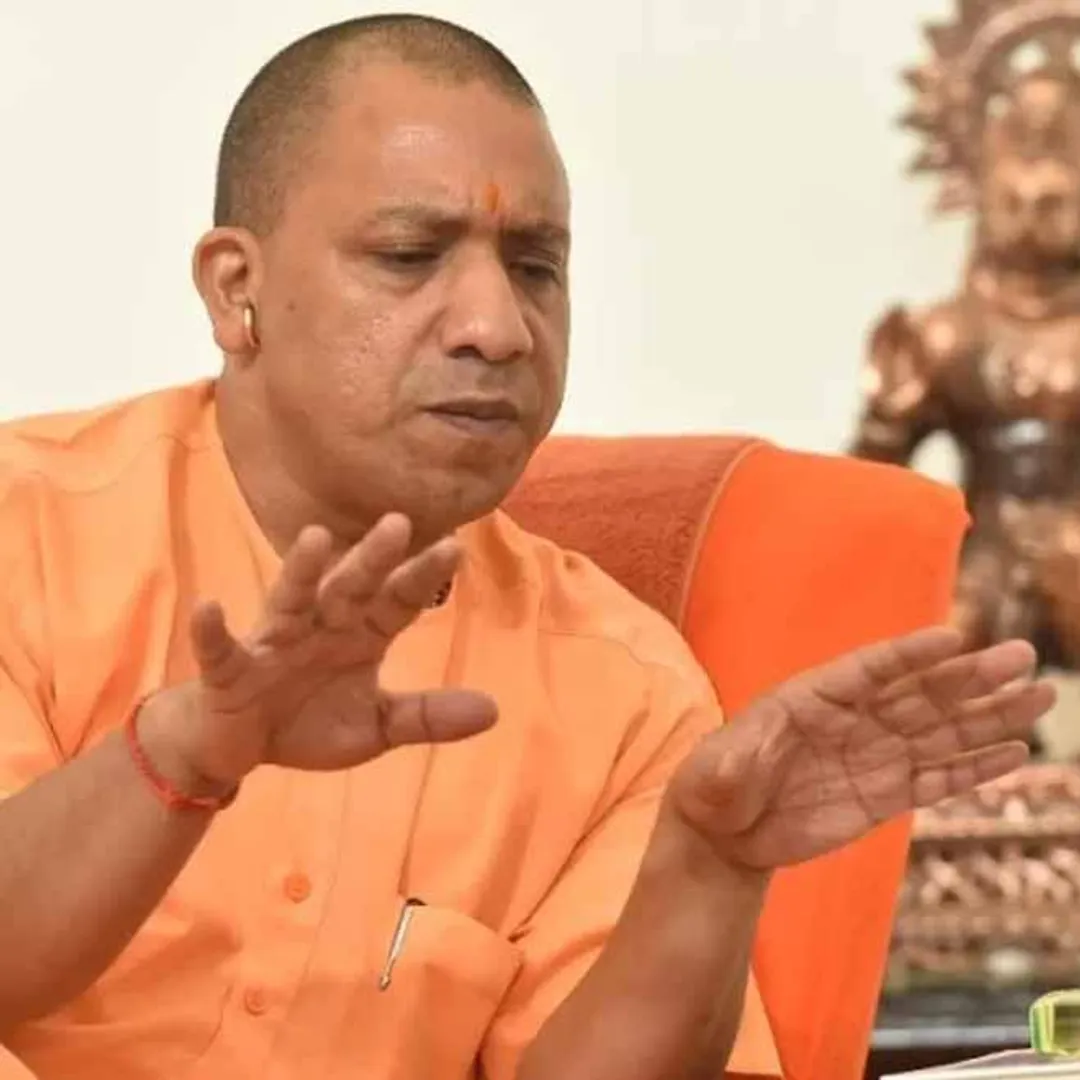 yogi