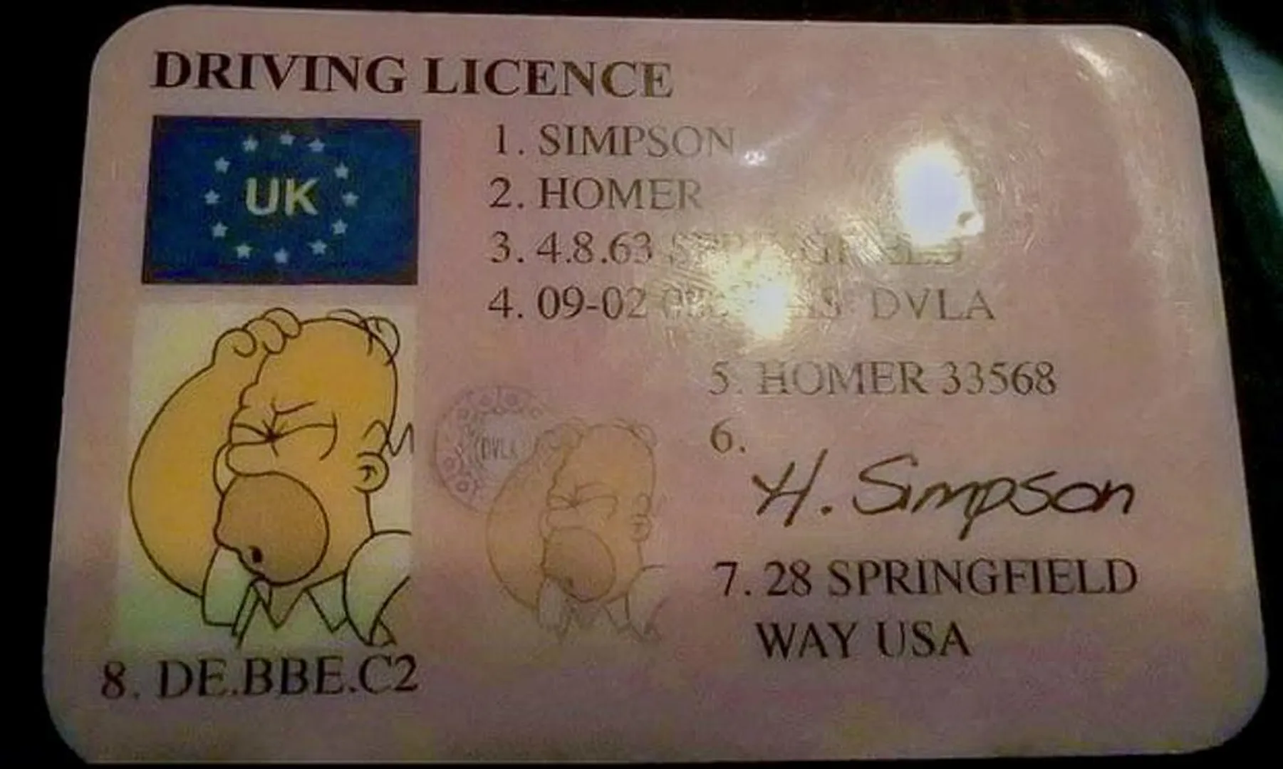 license cartoon