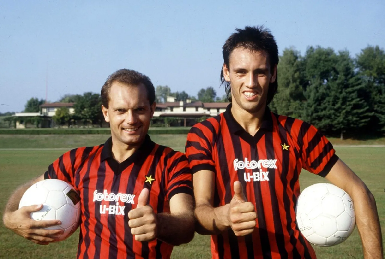 wilkins