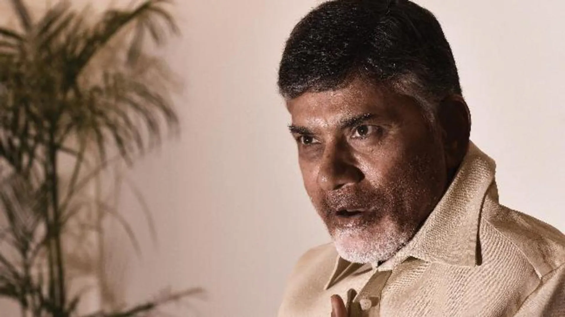 chandrababu naidu