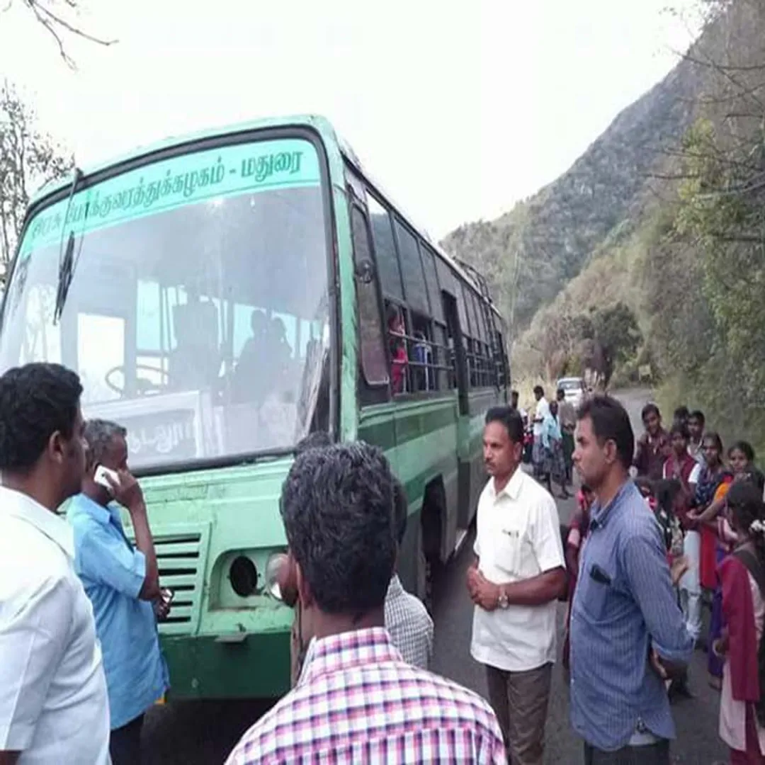 bus