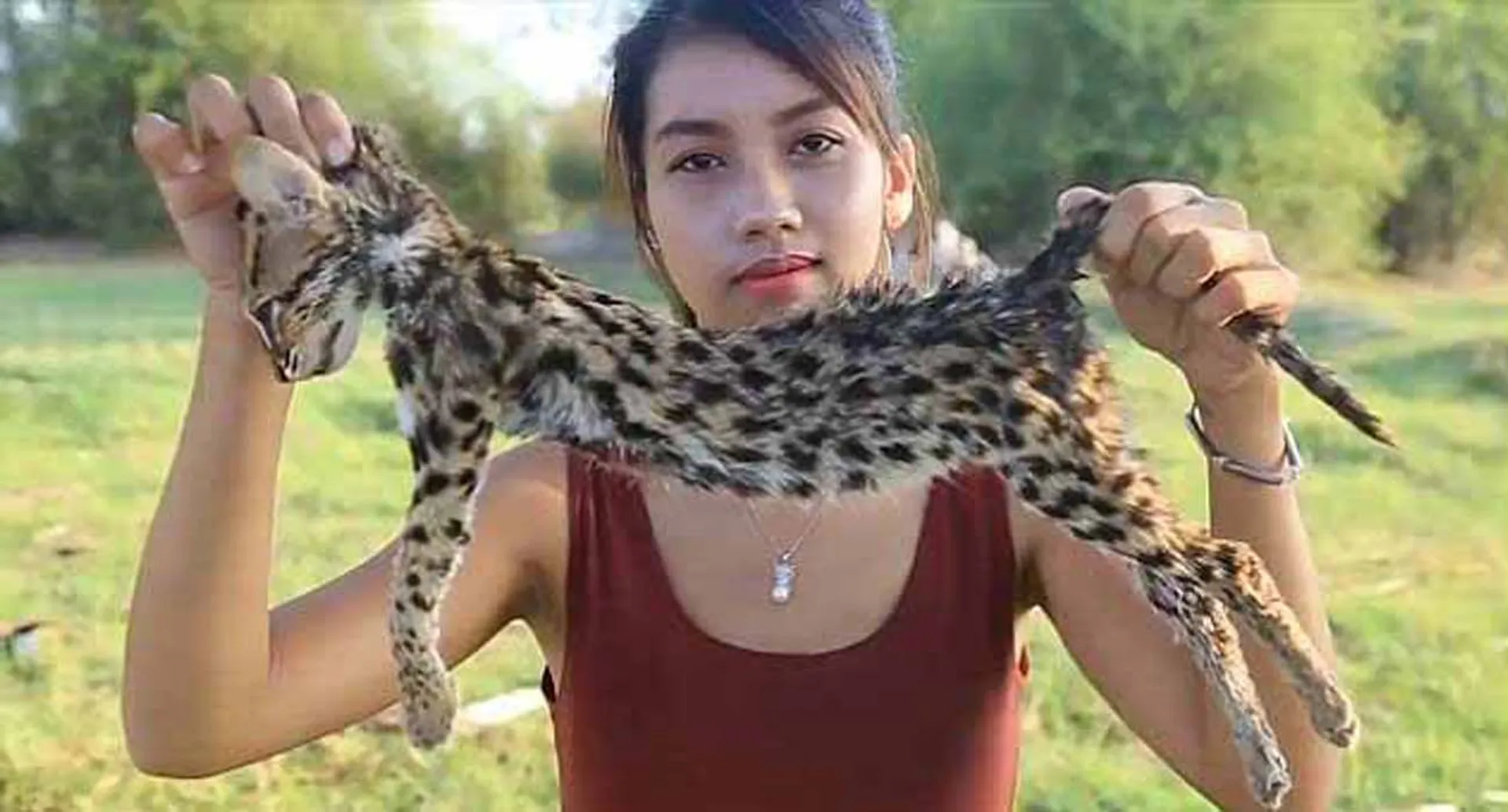 cambodiya cuple eat domestic animals