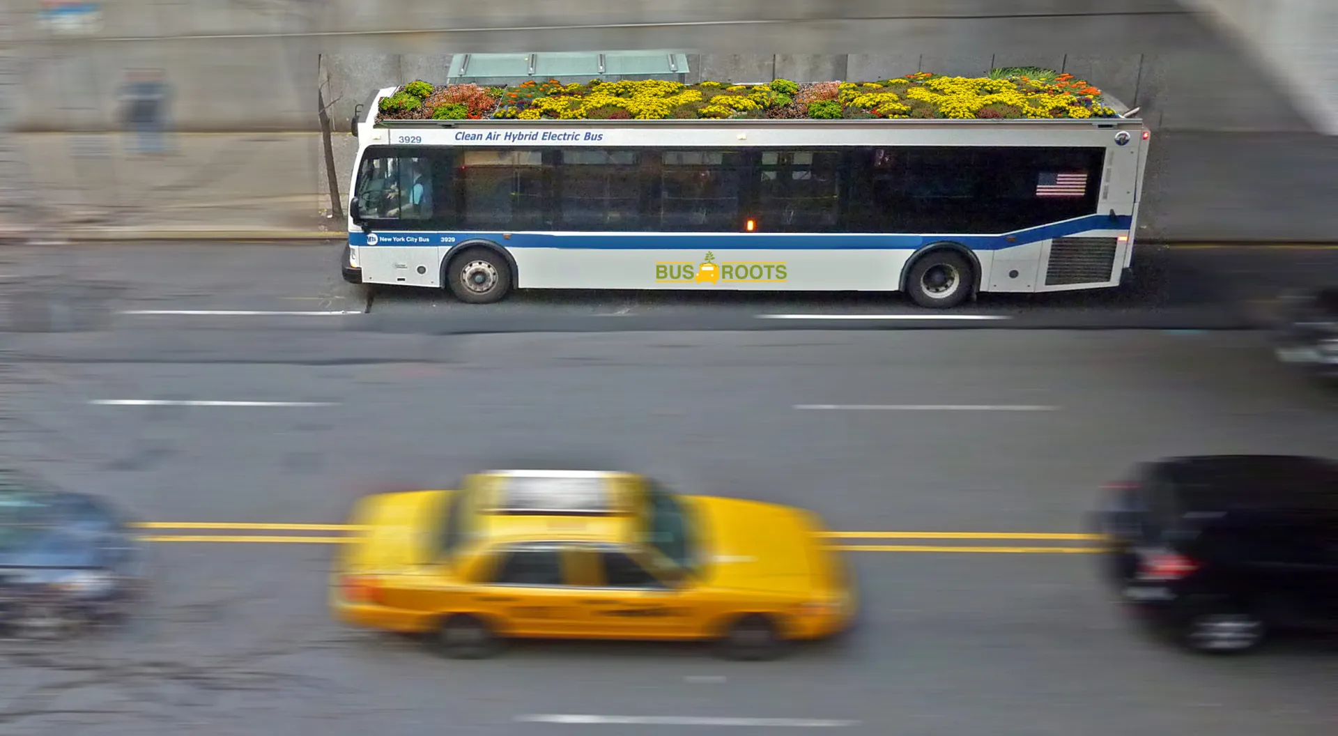 bus