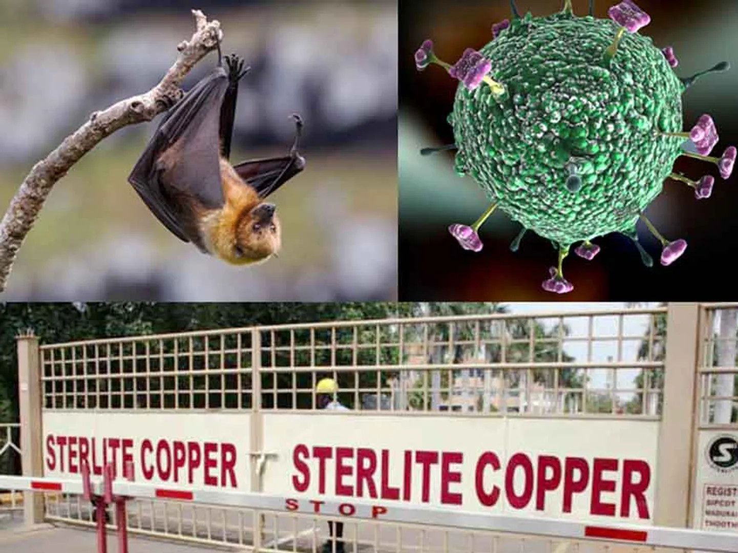 sterlite nipha
