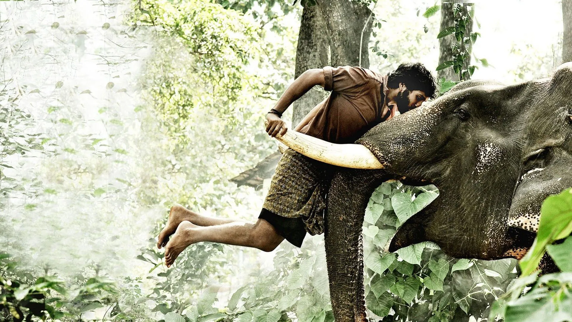 kumki