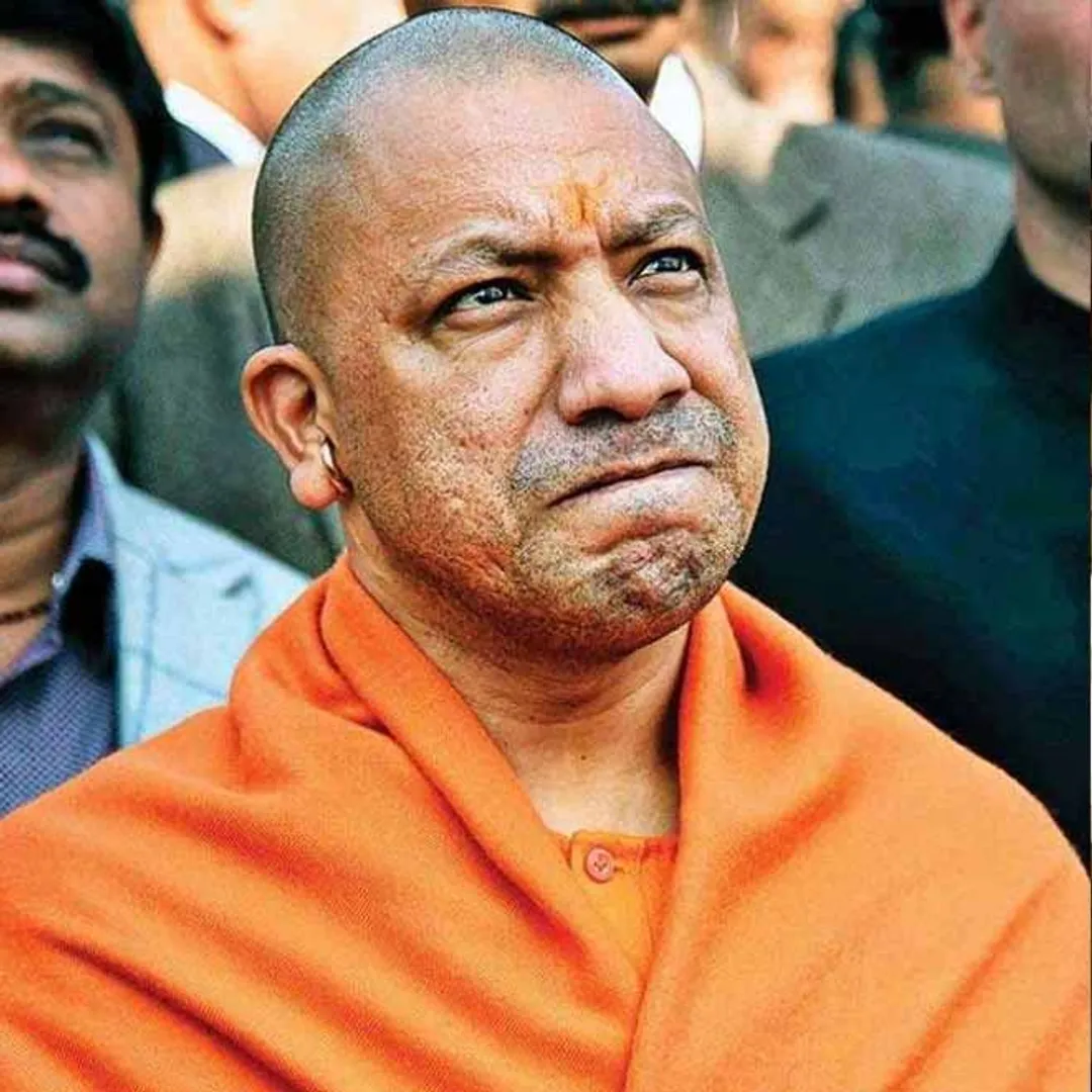 yogi