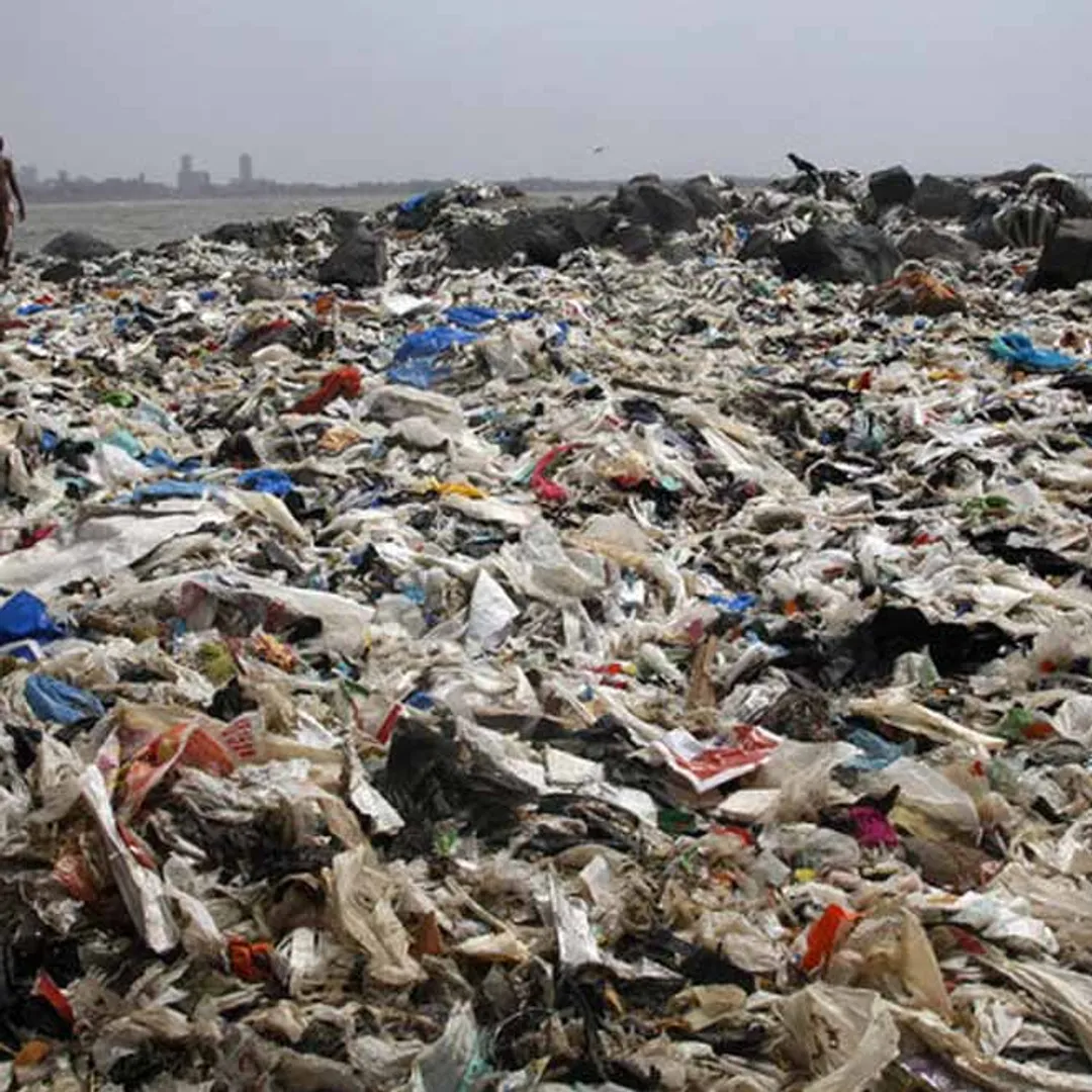 World environment day 