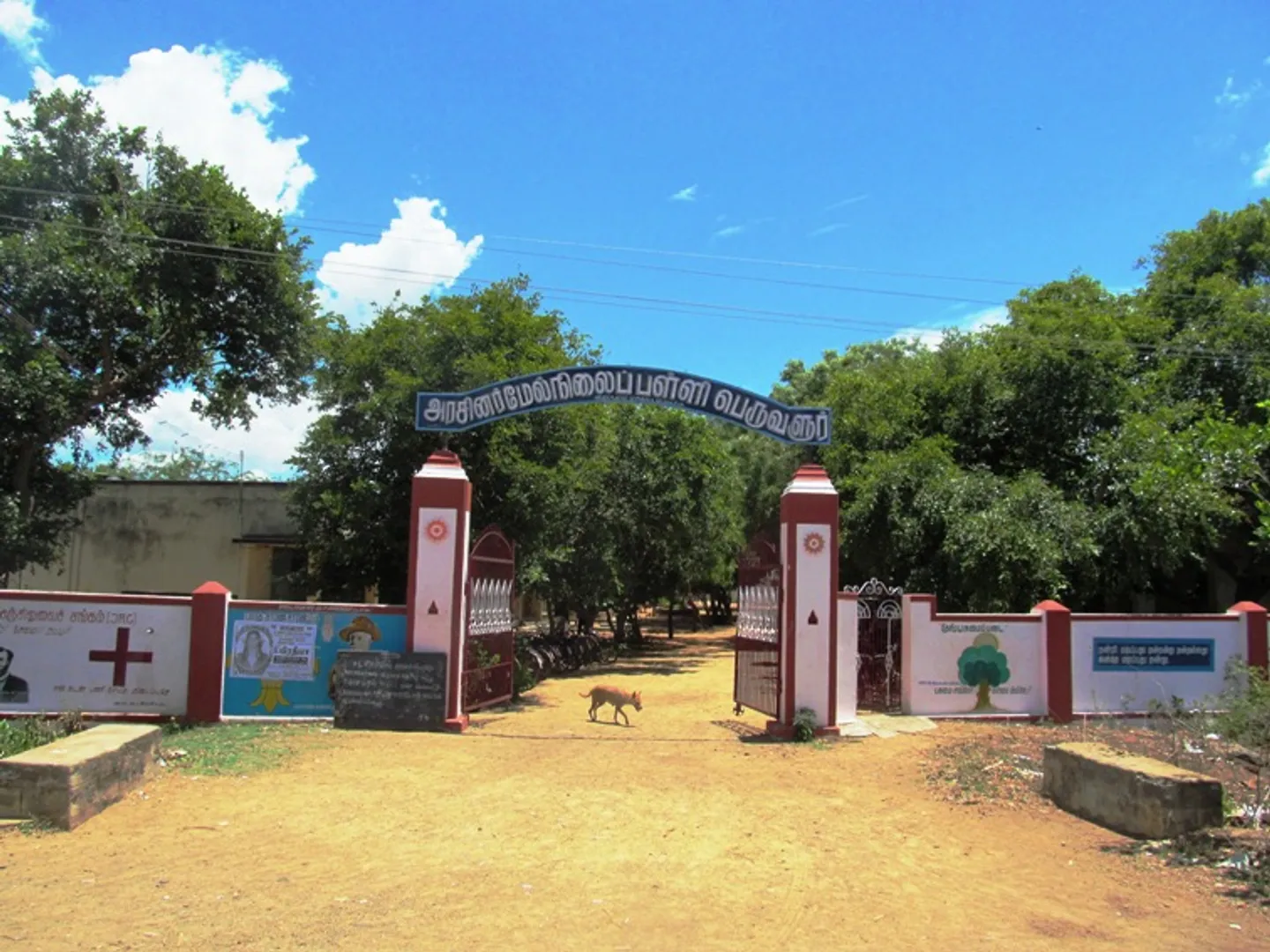 school