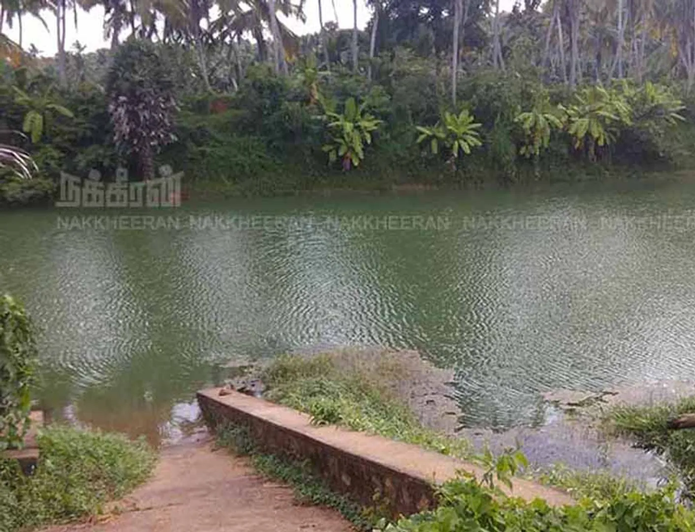 Pond for the generation of women for generations