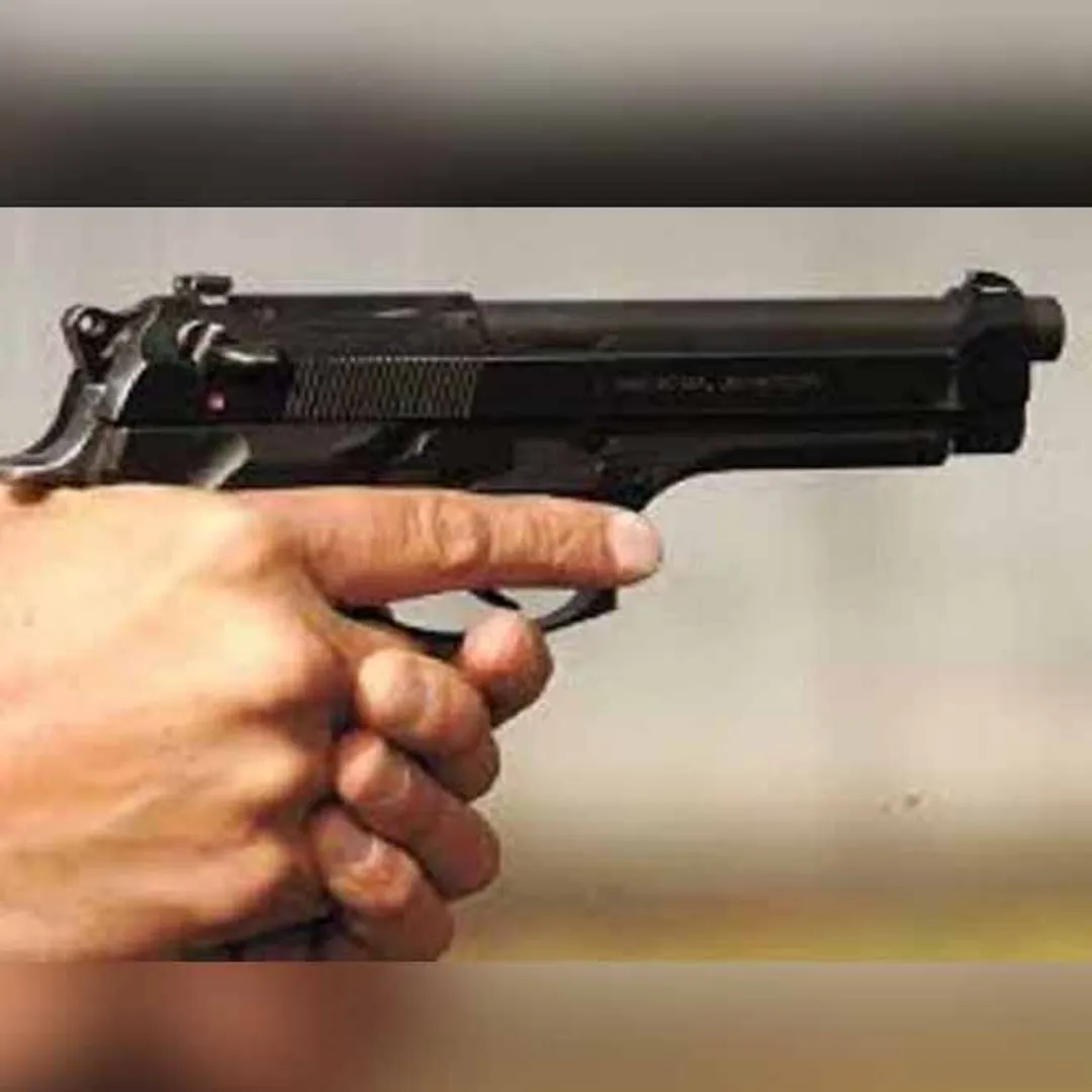 Gun