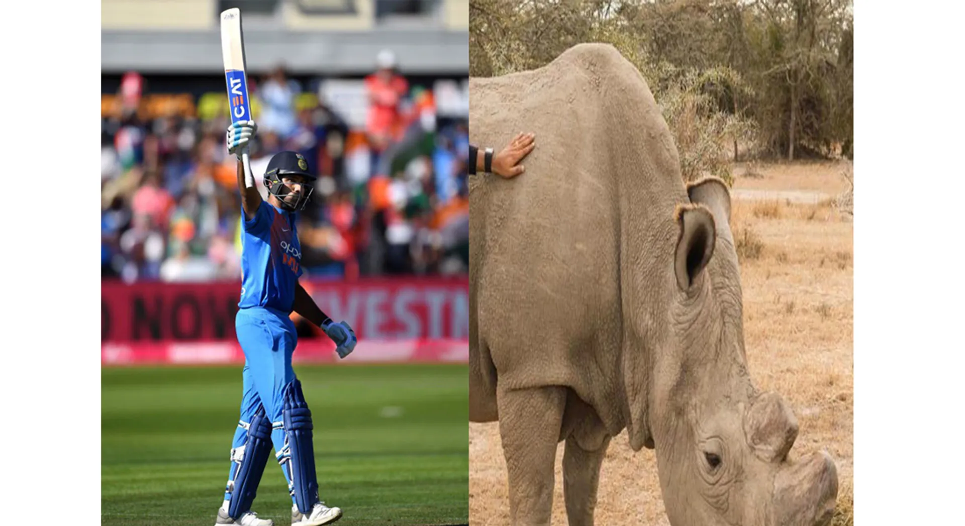 sudan 