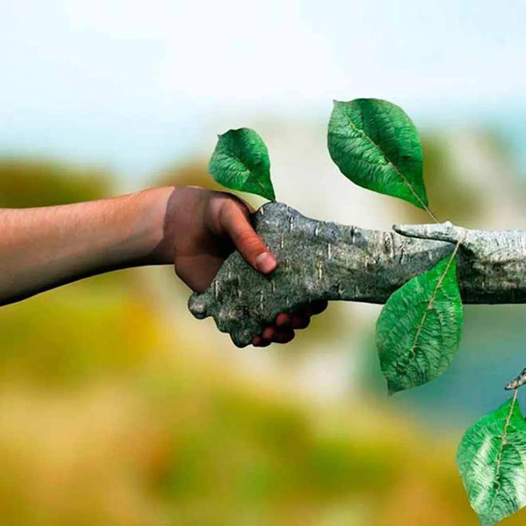 nature