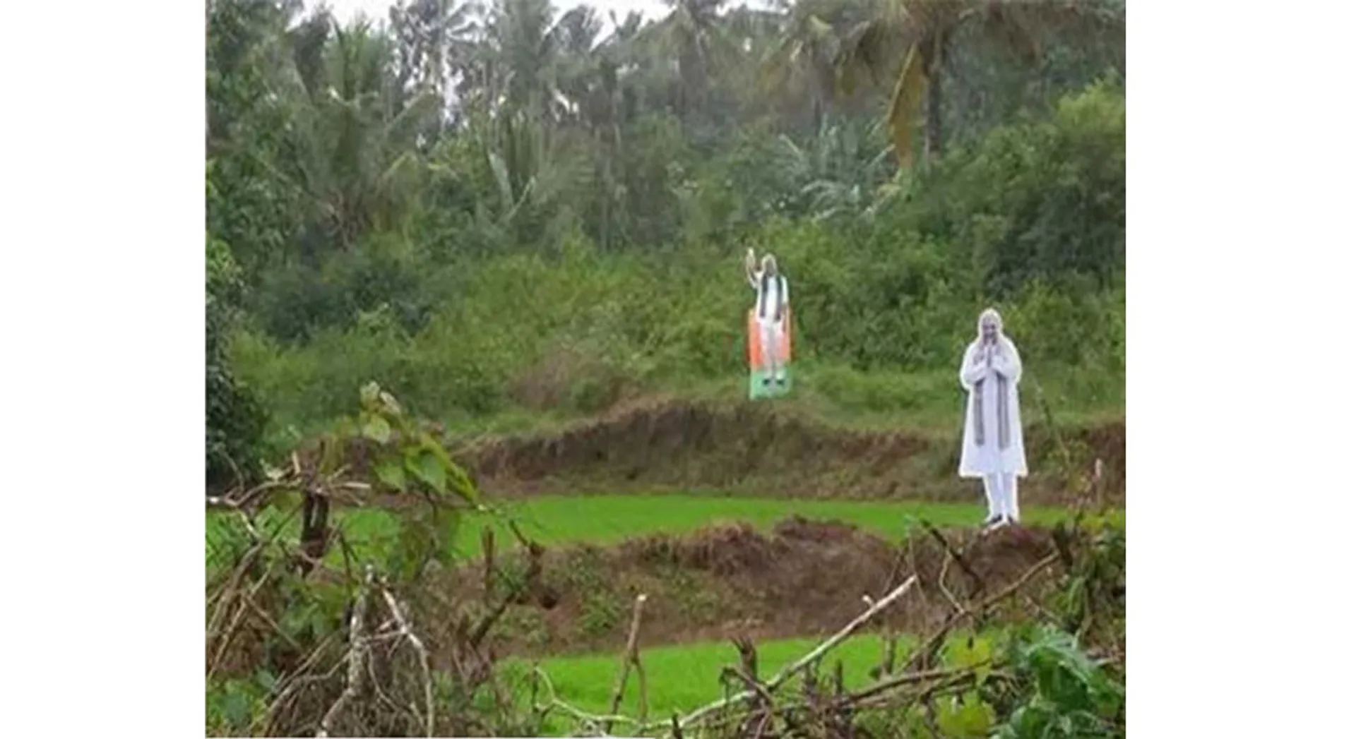 bjp