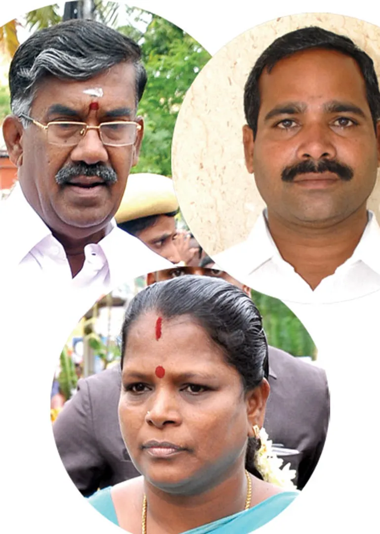 trichypolitics