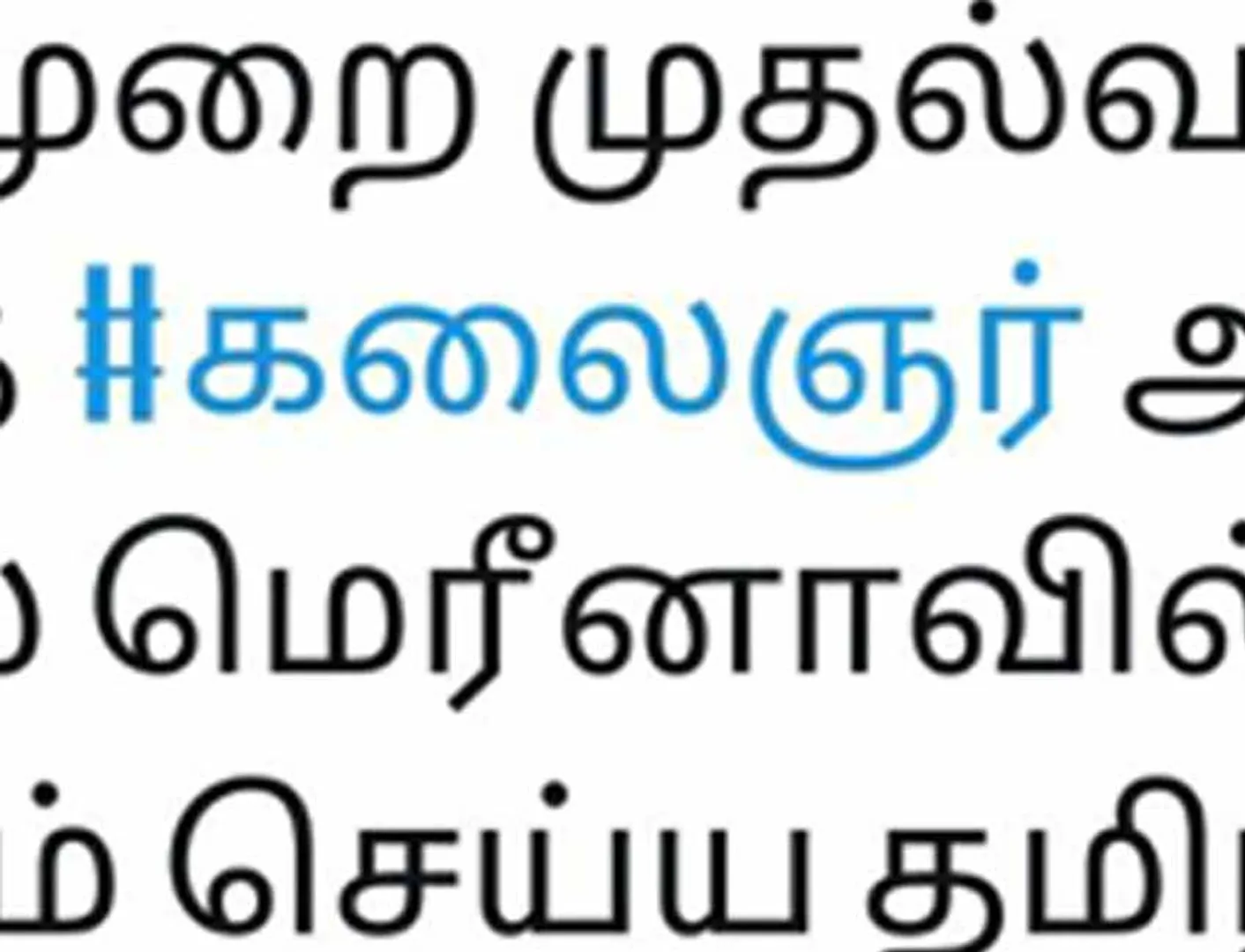 kalaignar merina