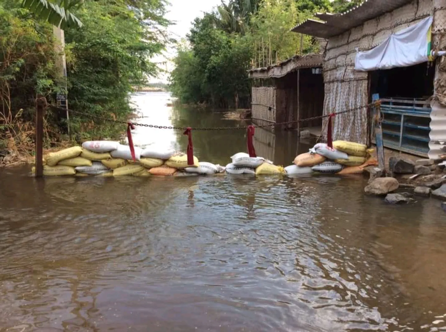 flood