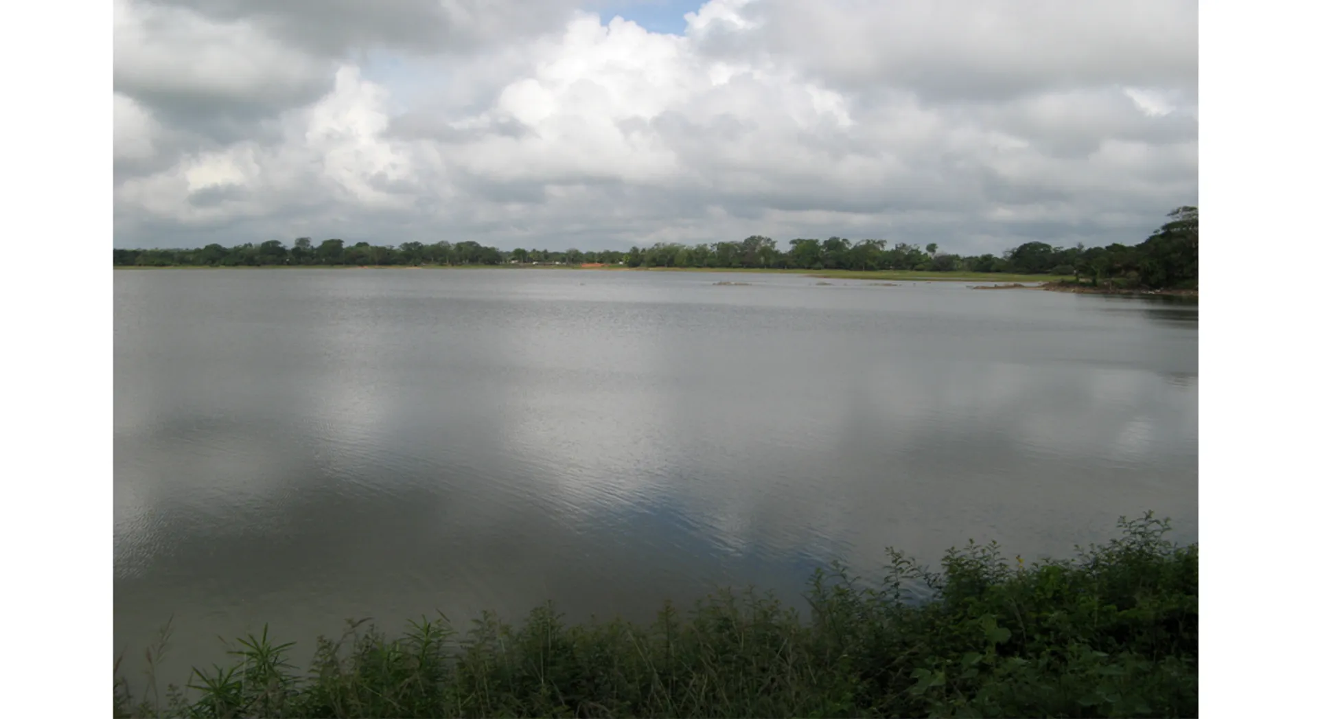 kovai