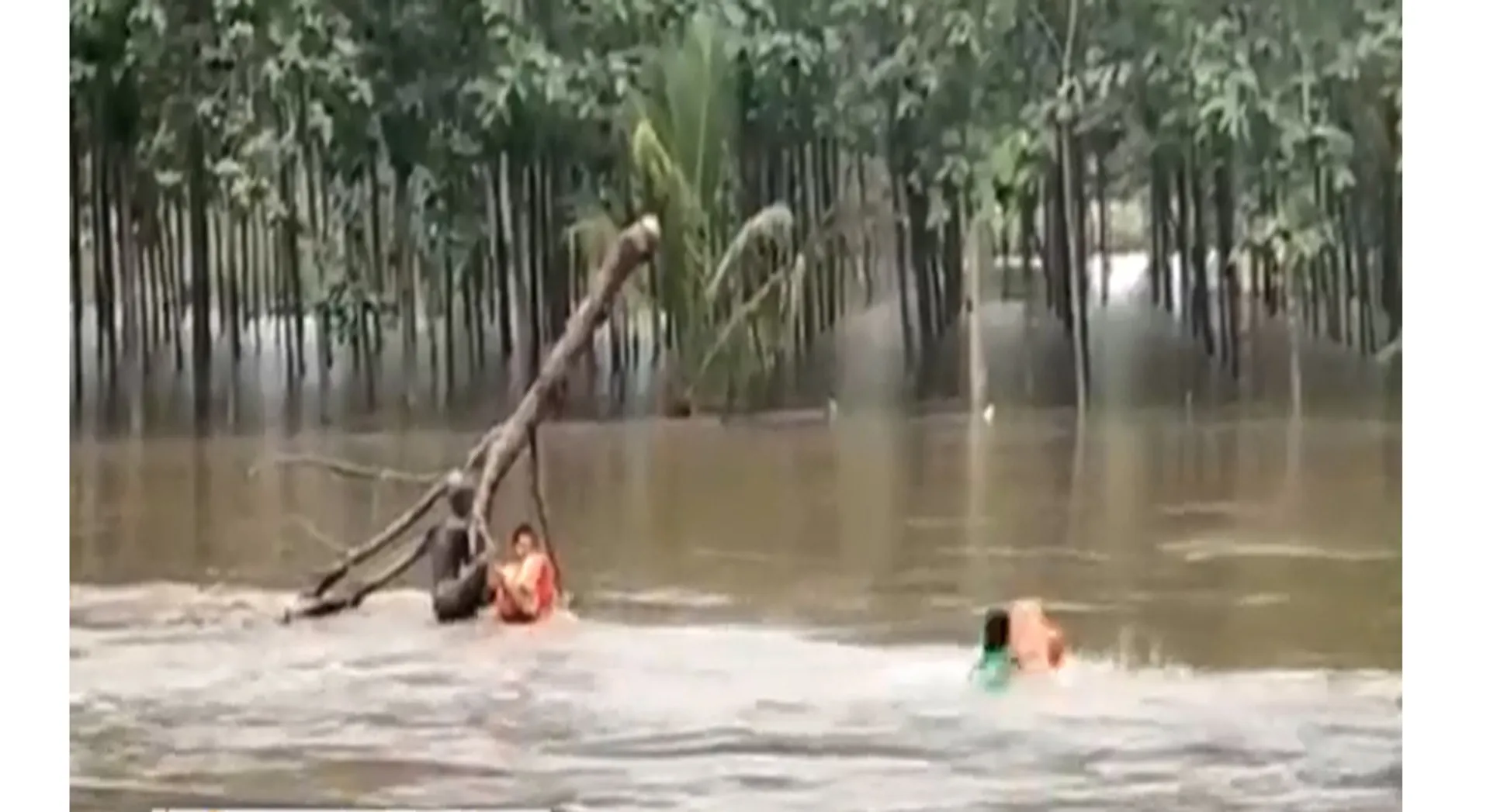 flood 