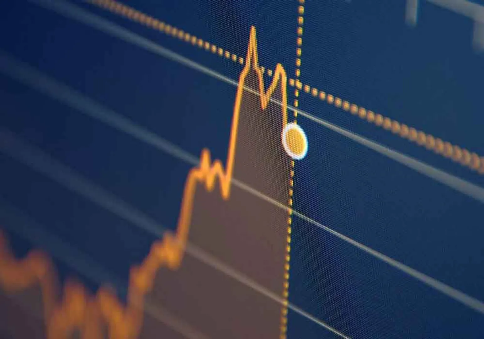 share market 