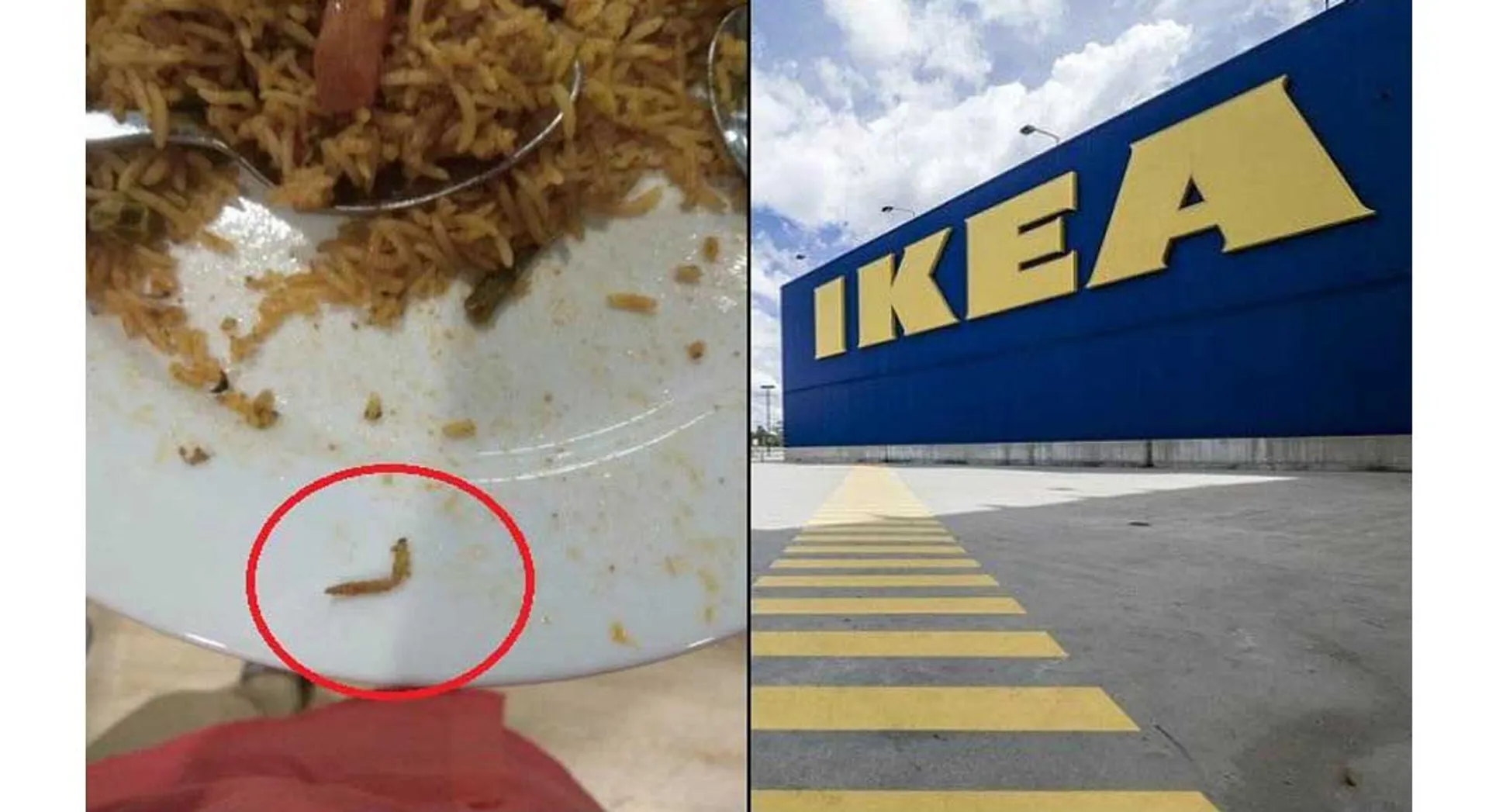 biriyani