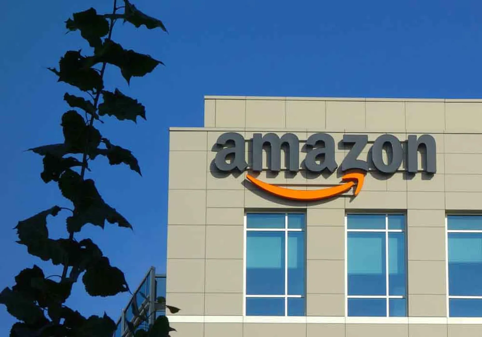 Amazon 