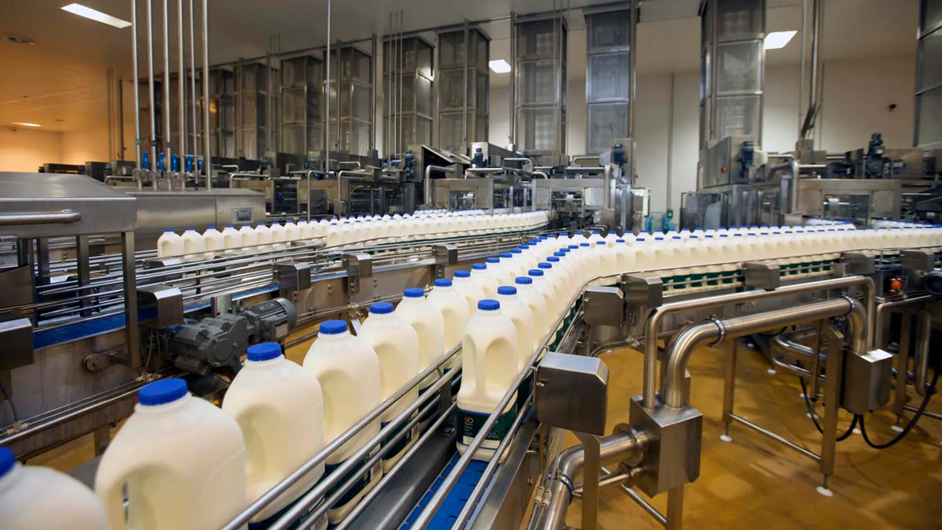 MILK