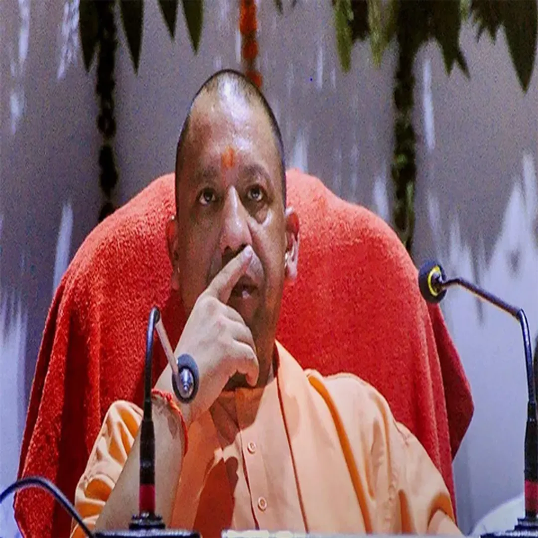 yogi
