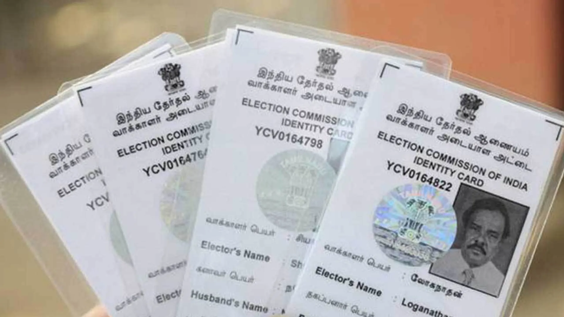 voter