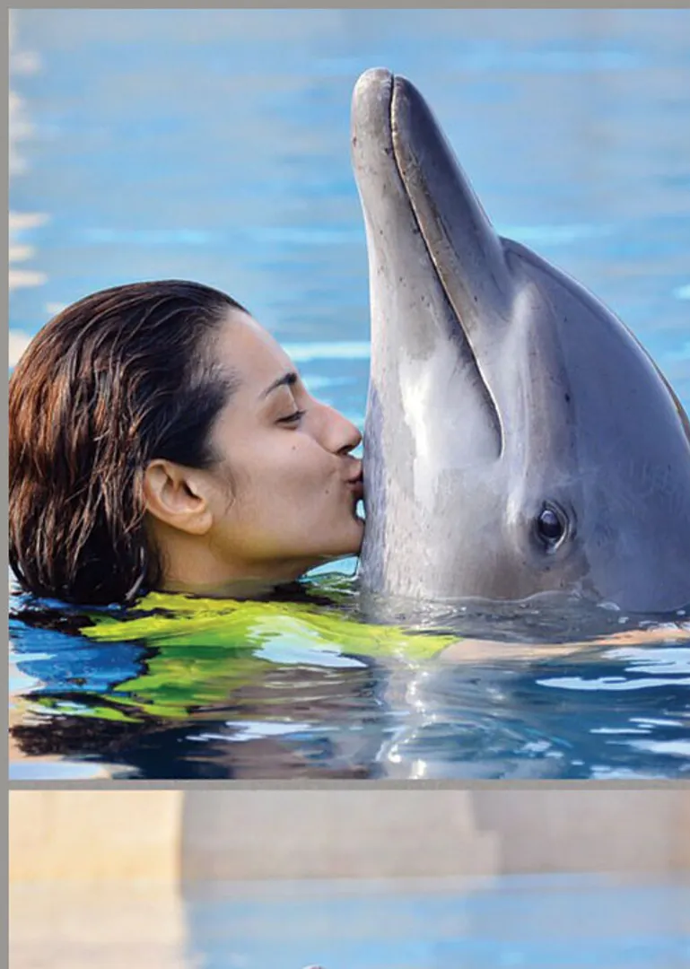 trisha