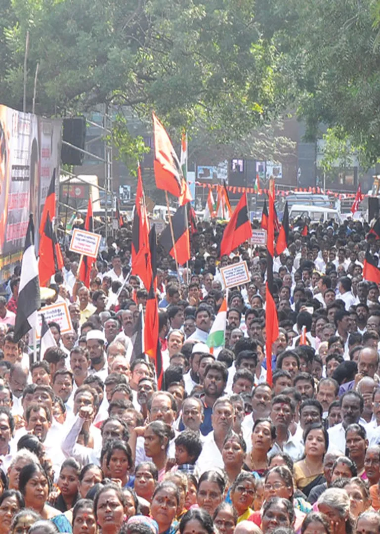 dmk