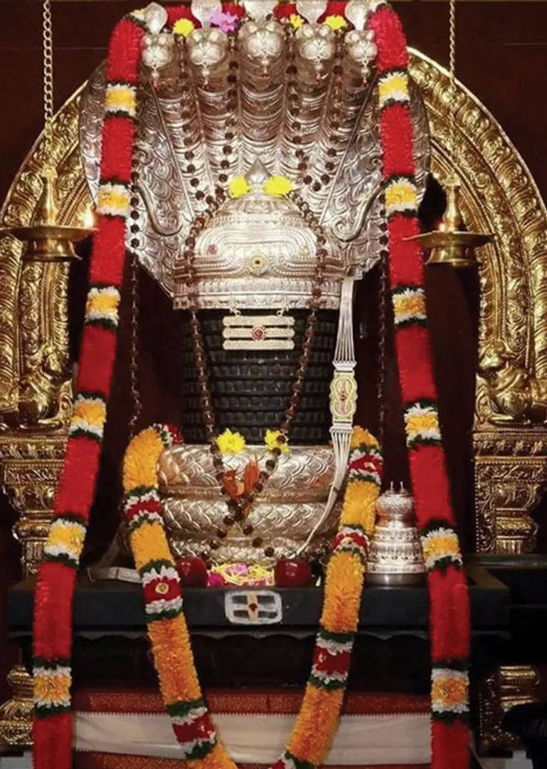 /idhalgal/balajothidam/gandharva-nadi-22