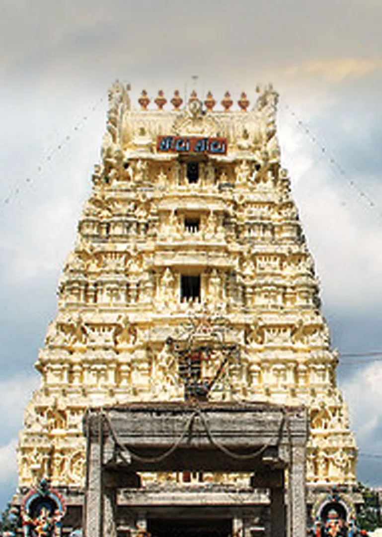 /idhalgal/balajothidam/manthi-thosam