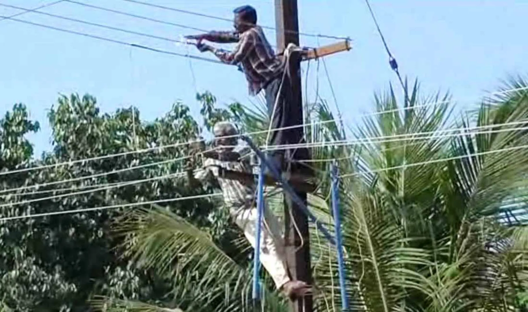 Electricity Board's Negligence 