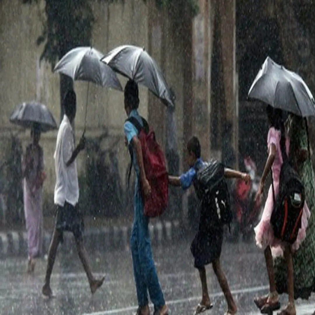 rain