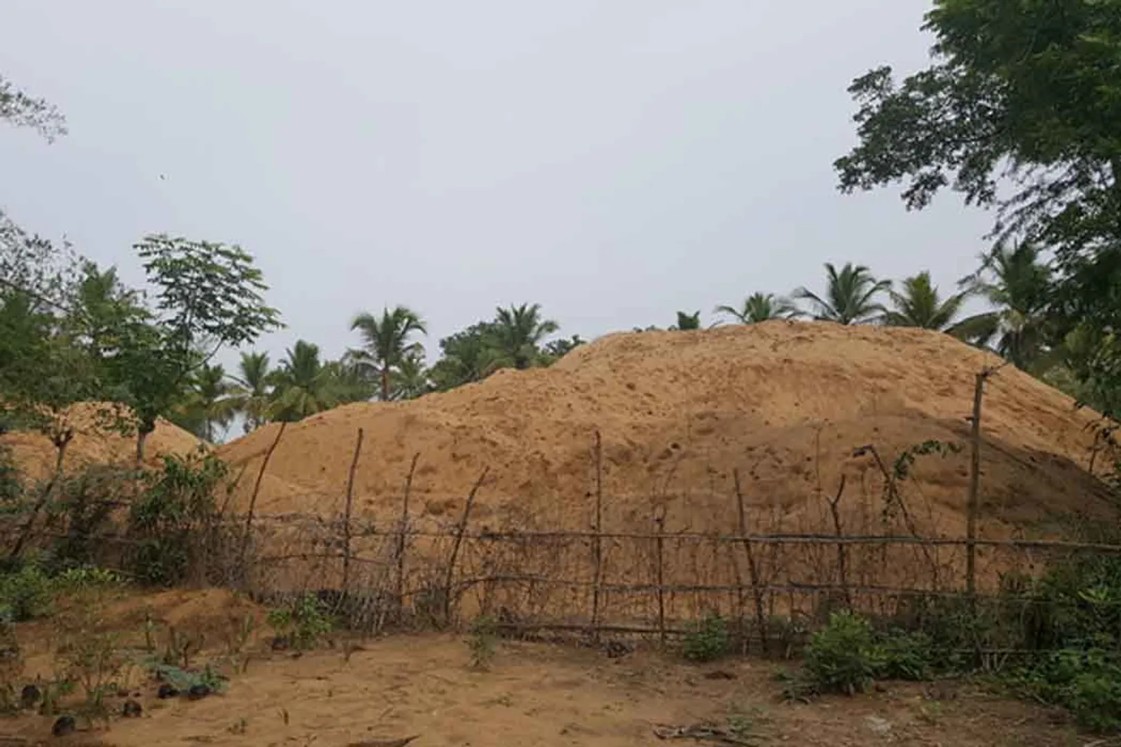 sand mafia