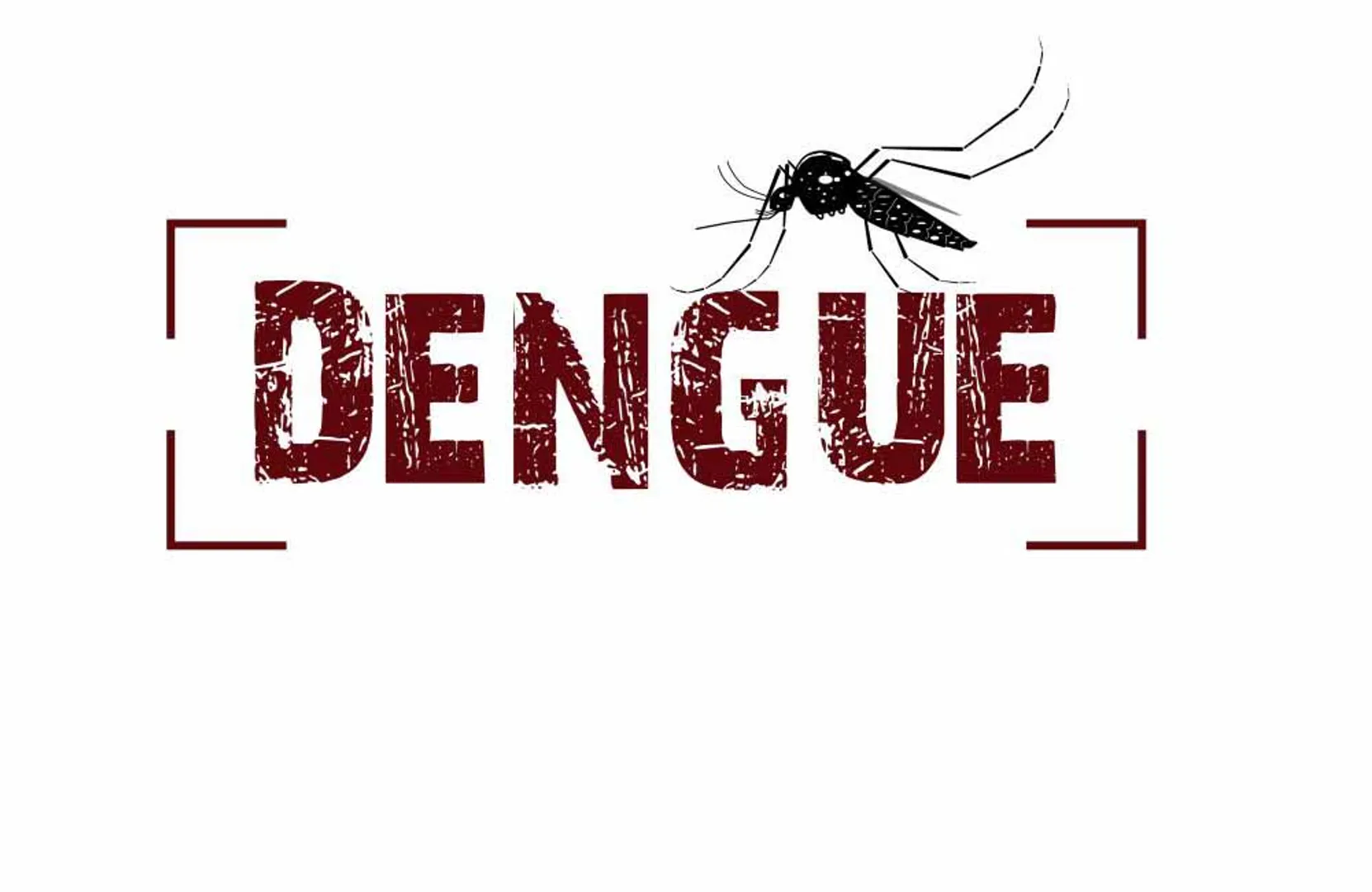 dengue