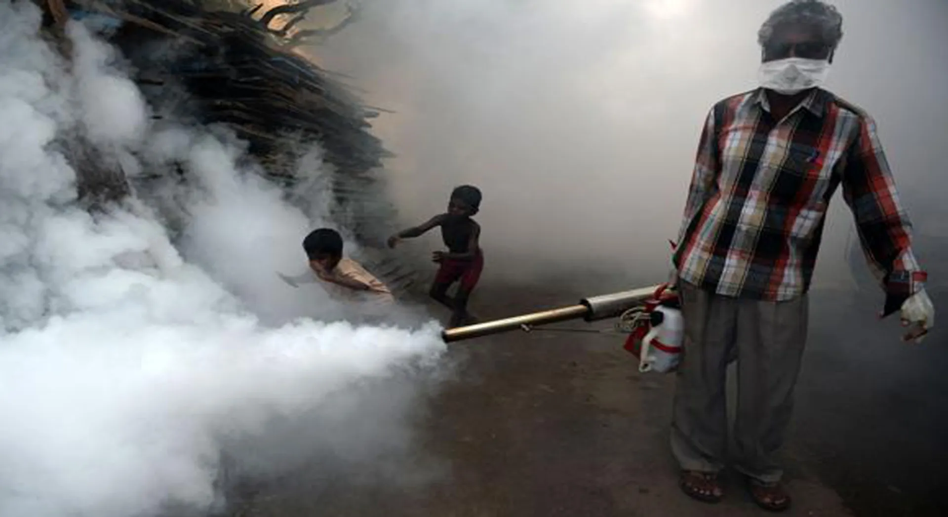 Dengue 