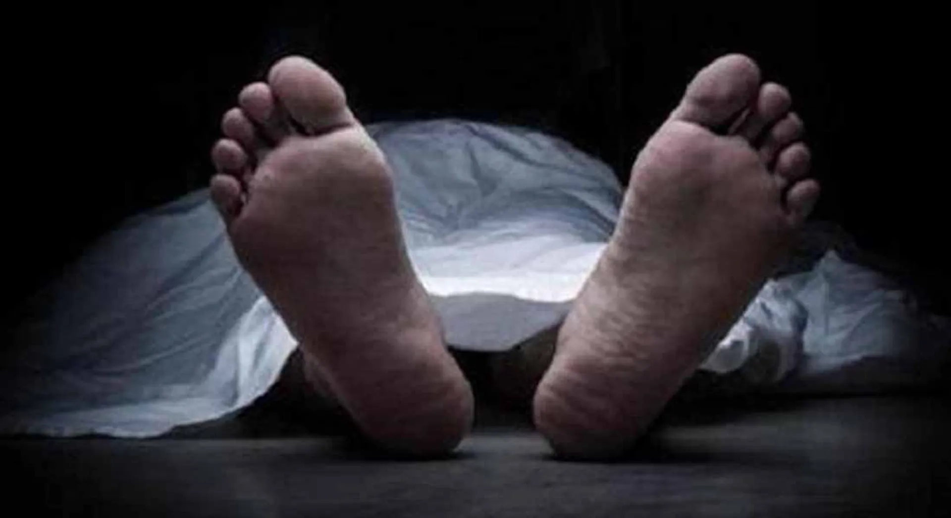  Woman killed in swine flu
