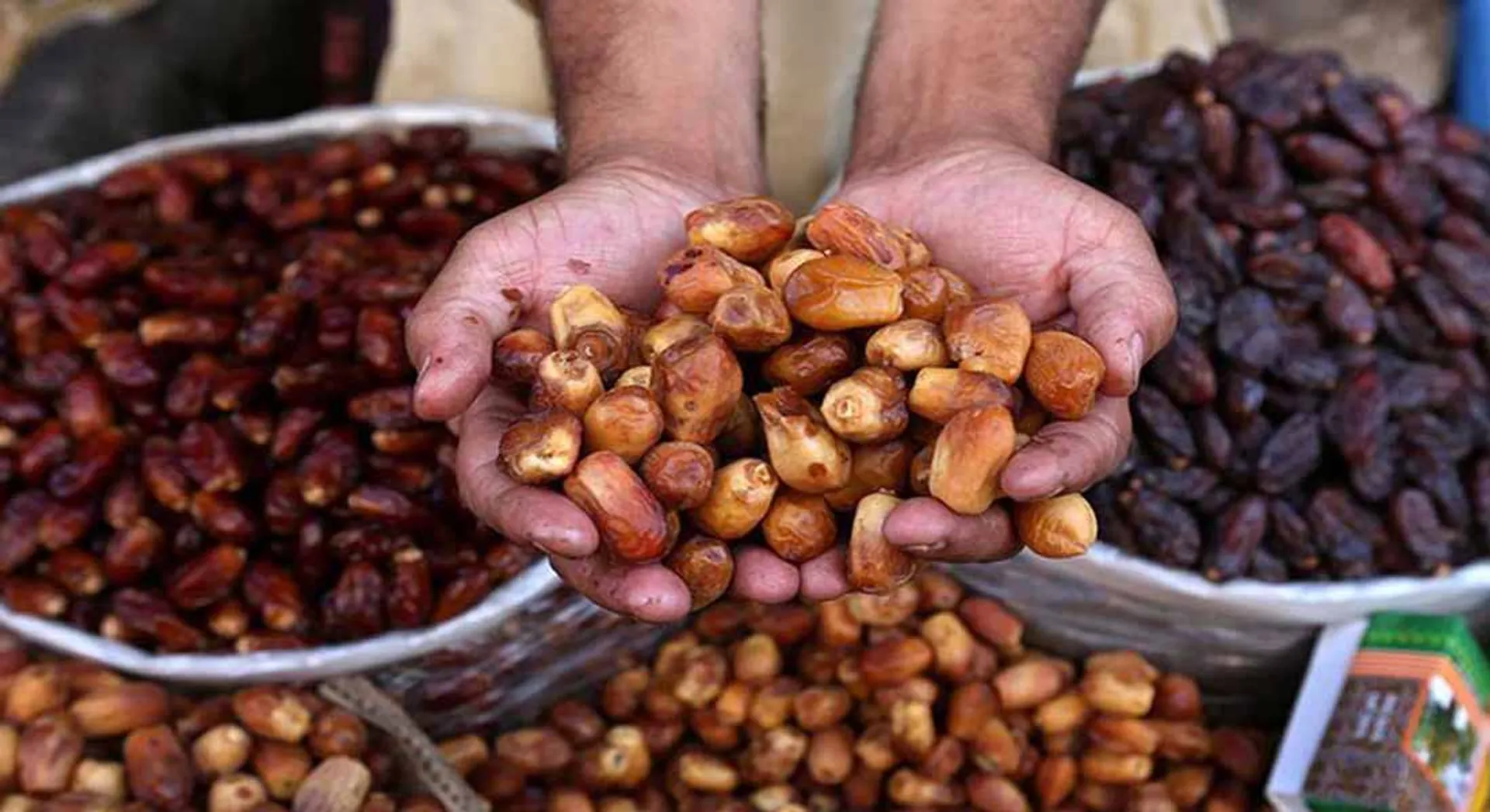  dates 