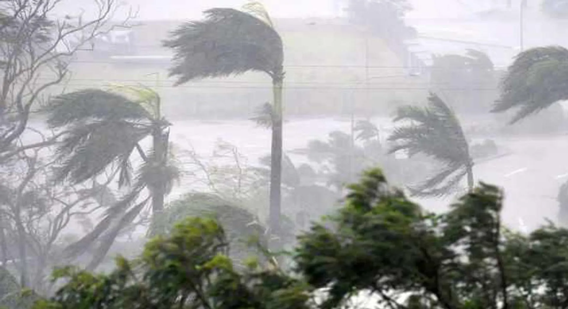 Gajah travels towards Tamilnadu; Hurry rescue crew quick !!