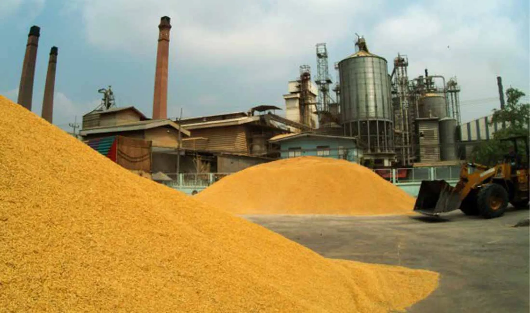 rice mill