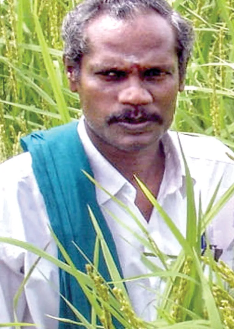 nel-jayaram