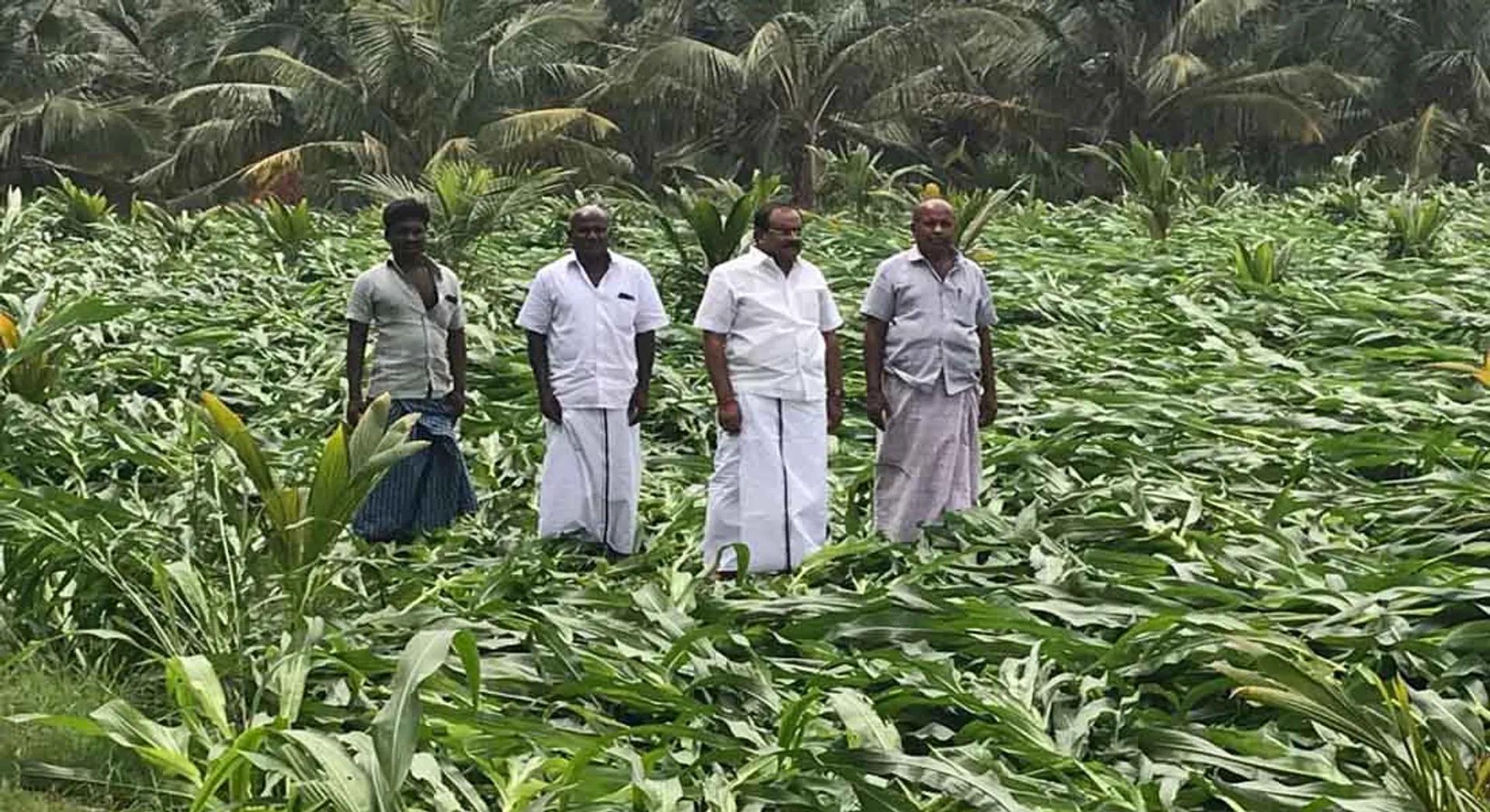  Immediate compensation to farmers affected by storm! DMK MLA urges