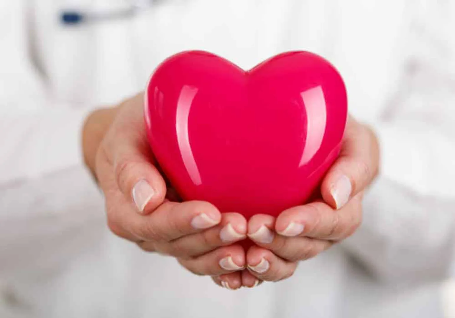 heart 
