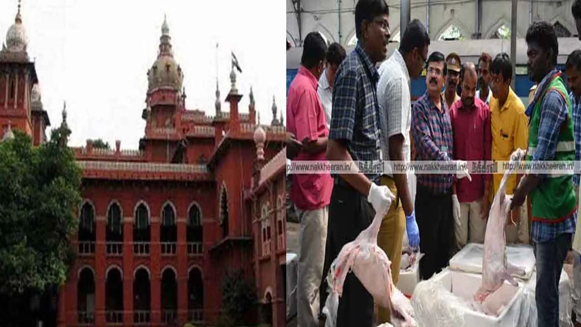  The Food Security Information Center reported that the controversial meat was buried!