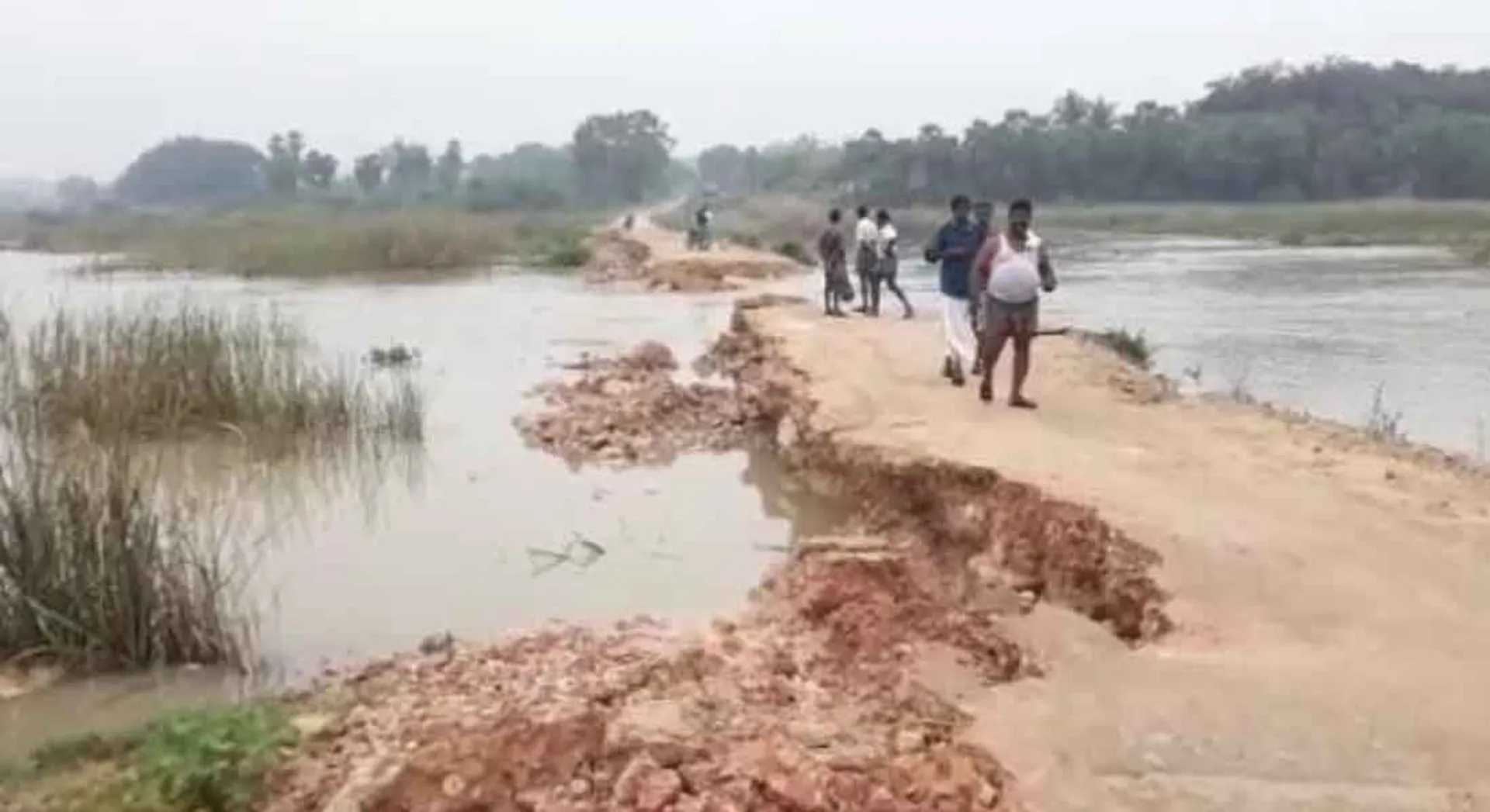 bridge 