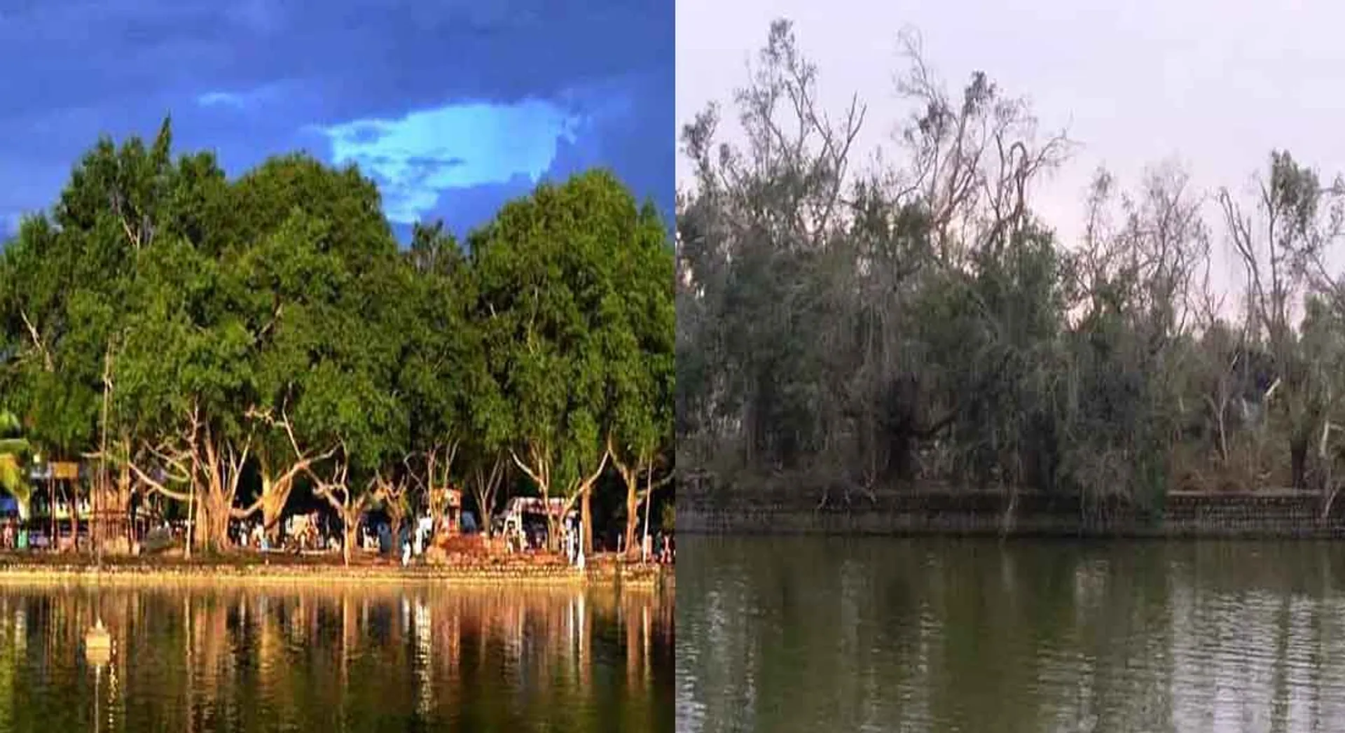 Naduvasal ... yesterday ... today ...