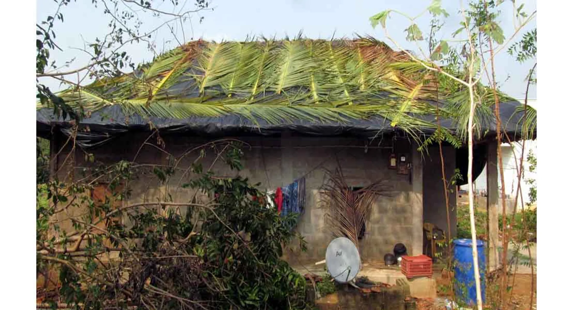 Farmers are hanging in green houses and searching for shadow !!